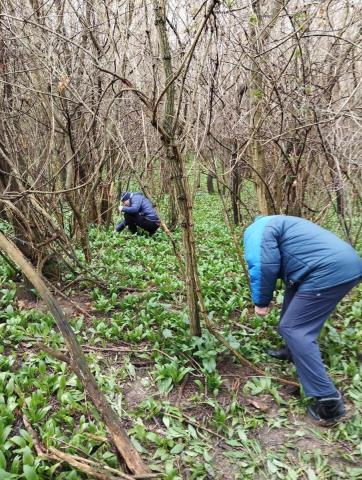 Výlet Dolná Krupá 1