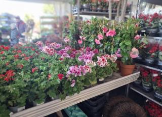 výstava Záhradkár