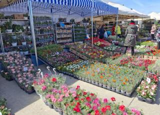 výstava Záhradkár 3