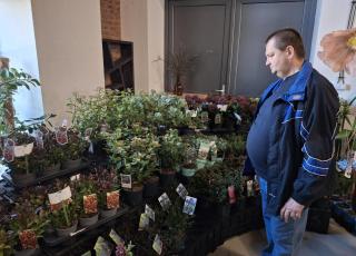 Klienti DSS Zavar na výstave čemeríc v Trnave