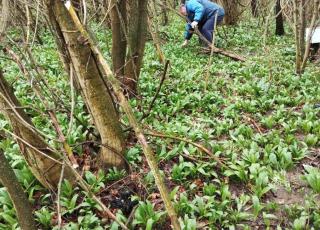 Výlet Dolná Krupá 2