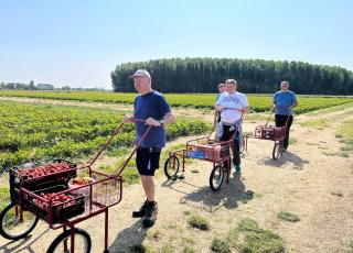 naša nazbieraná úroda